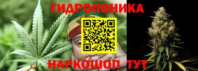 стафф Нальчик