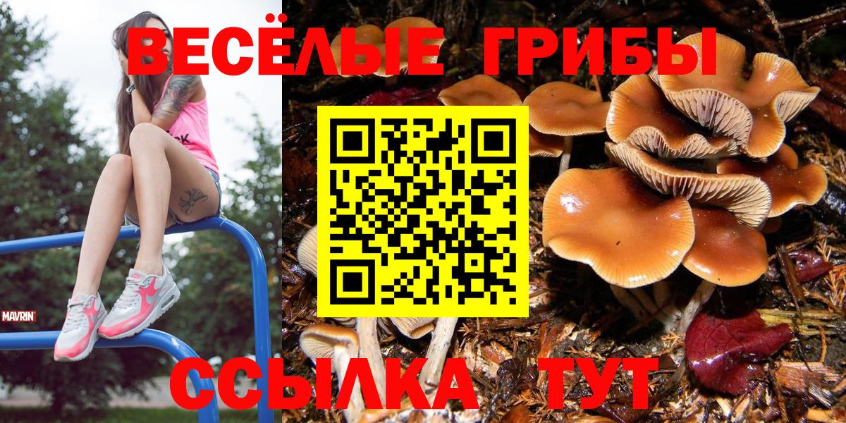 Галлюциногенные грибы MAGIC MUSHROOMS Карасук