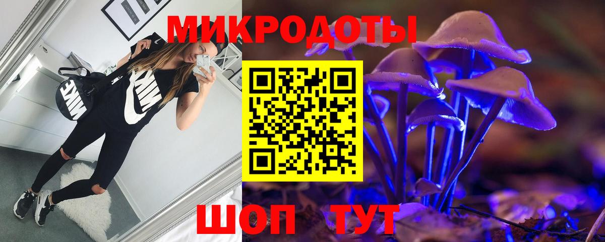 Псилоцибиновые грибы Psilocybe  Вход с VPN  Псилоцибиновые грибы Psilocybe  Карасук 